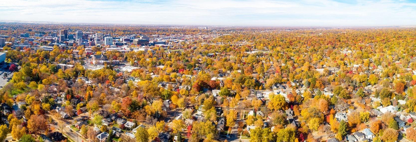 Colorful trees with fall leaves and residential real estate in Boise Idaho